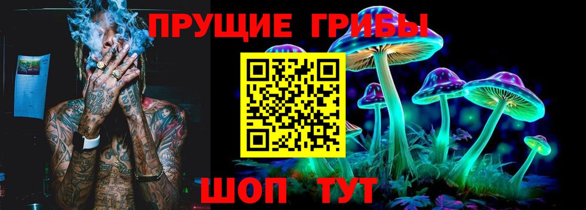 Псилоцибиновые грибы мухоморы  Галлюциногенные грибы Psilocybine cubensis  Пенза  Вход с VPN 
